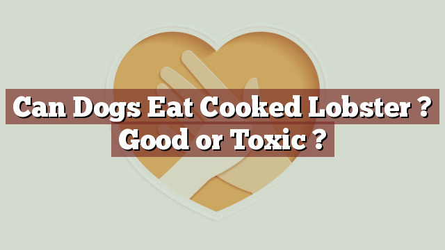 Can Dogs Eat Cooked Lobster ? Good or Toxic ?