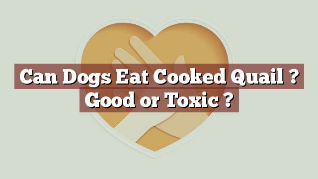 Can Dogs Eat Cooked Quail ? Good or Toxic ?