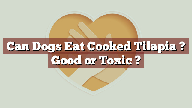 Can Dogs Eat Cooked Tilapia ? Good or Toxic ?