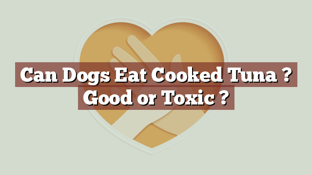 Can Dogs Eat Cooked Tuna ? Good or Toxic ?