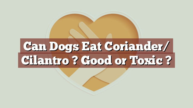 Can Dogs Eat Coriander/ Cilantro ? Good or Toxic ?