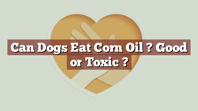 Can Dogs Eat Corn Oil ? Good or Toxic ?