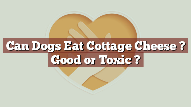 Can Dogs Eat Cottage Cheese ? Good or Toxic ?