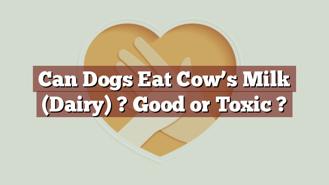 Can Dogs Eat Cow’s Milk (Dairy) ? Good or Toxic ?