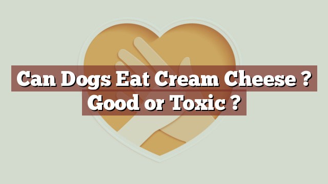 Can Dogs Eat Cream Cheese ? Good or Toxic ?