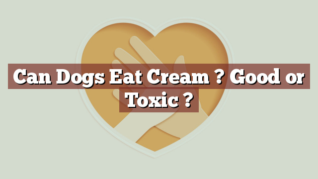 Can Dogs Eat Cream ? Good or Toxic ?