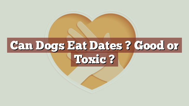 Can Dogs Eat Dates ? Good or Toxic ?