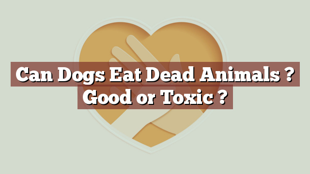 Can Dogs Eat Dead Animals ? Good or Toxic ?
