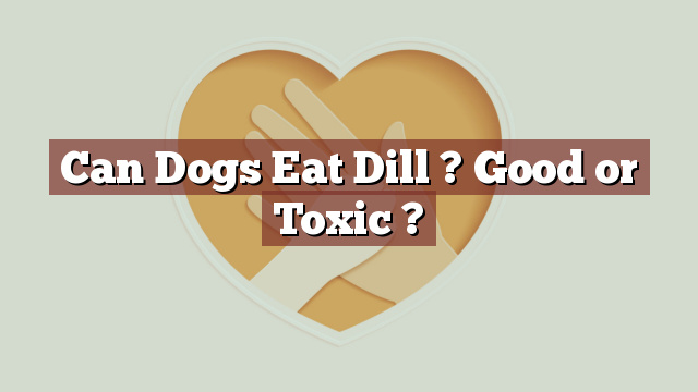 Can Dogs Eat Dill ? Good or Toxic ?
