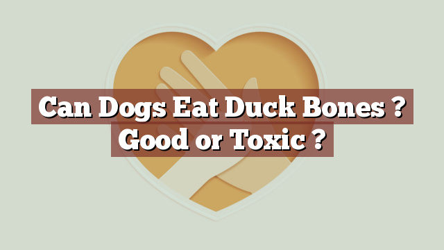 Can Dogs Eat Duck Bones ? Good or Toxic ?