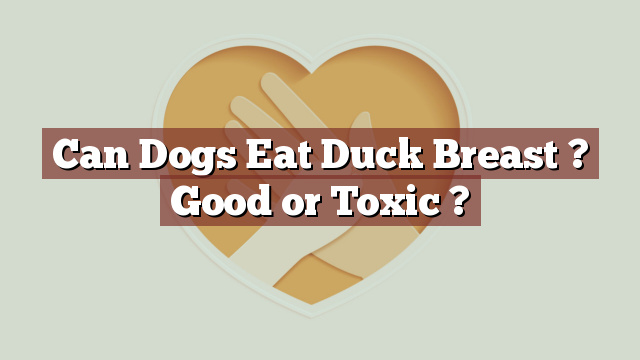 Can Dogs Eat Duck Breast ? Good or Toxic ?