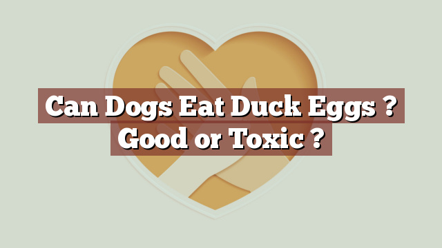 Can Dogs Eat Duck Eggs ? Good or Toxic ?