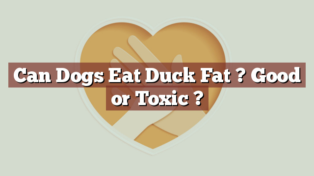 Can Dogs Eat Duck Fat ? Good or Toxic ?