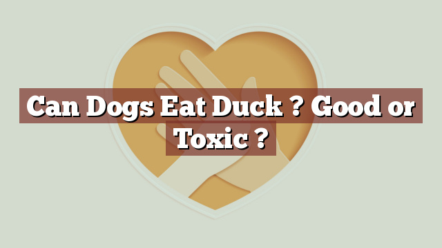 Can Dogs Eat Duck ? Good or Toxic ?