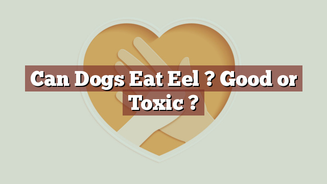 Can Dogs Eat Eel ? Good or Toxic ?