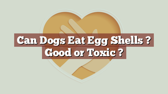 Can Dogs Eat Egg Shells ? Good or Toxic ?