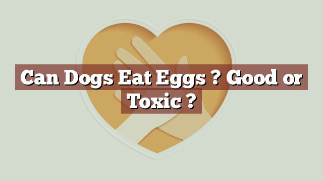 Can Dogs Eat Eggs ? Good or Toxic ?