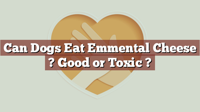 Can Dogs Eat Emmental Cheese ? Good or Toxic ?