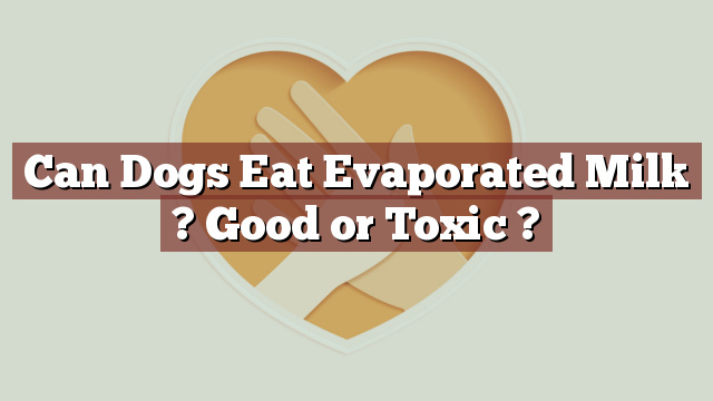 Can Dogs Eat Evaporated Milk ? Good or Toxic ?