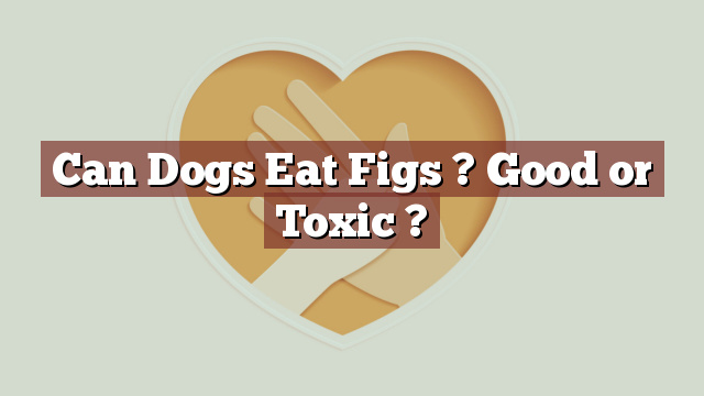 Can Dogs Eat Figs ? Good or Toxic ?