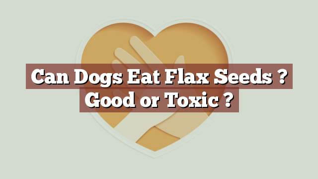 Can Dogs Eat Flax Seeds ? Good or Toxic ?