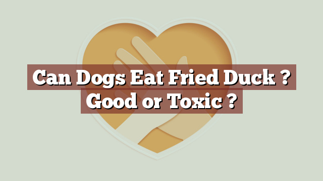 Can Dogs Eat Fried Duck ? Good or Toxic ?