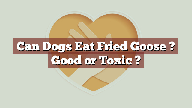 Can Dogs Eat Fried Goose ? Good or Toxic ?