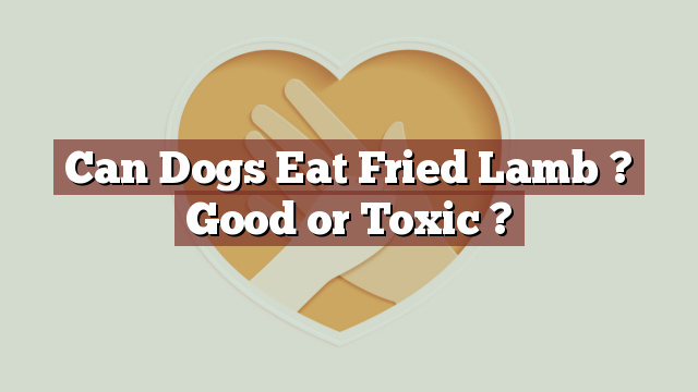 Can Dogs Eat Fried Lamb ? Good or Toxic ?