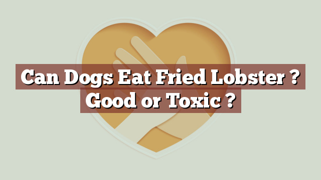 Can Dogs Eat Fried Lobster ? Good or Toxic ?