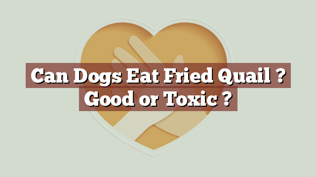 Can Dogs Eat Fried Quail ? Good or Toxic ?
