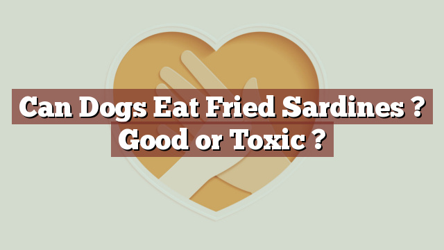 Can Dogs Eat Fried Sardines ? Good or Toxic ?