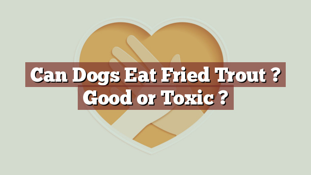 Can Dogs Eat Fried Trout ? Good or Toxic ?