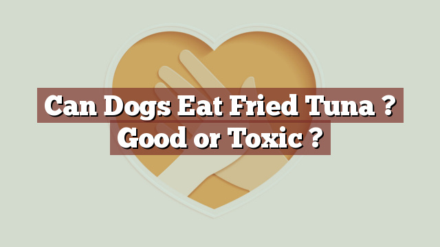 Can Dogs Eat Fried Tuna ? Good or Toxic ?