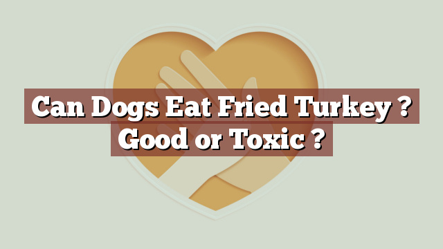 Can Dogs Eat Fried Turkey ? Good or Toxic ?