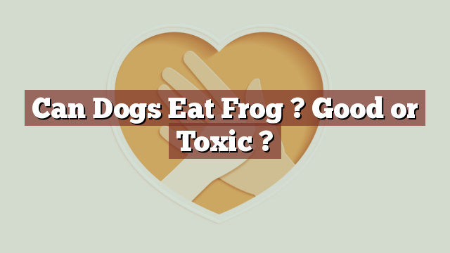 Can Dogs Eat Frog ? Good or Toxic ?