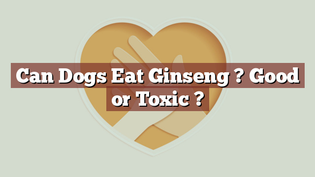 Can Dogs Eat Ginseng ? Good or Toxic ?