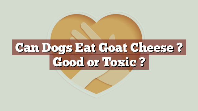 Can Dogs Eat Goat Cheese ? Good or Toxic ?