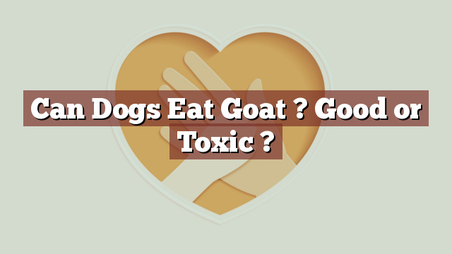 Can Dogs Eat Goat ? Good or Toxic ?