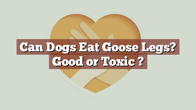 Can Dogs Eat Goose Legs? Good or Toxic ?