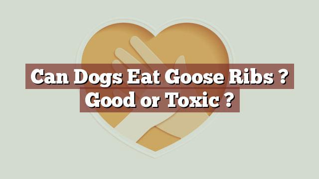 Can Dogs Eat Goose Ribs ? Good or Toxic ?