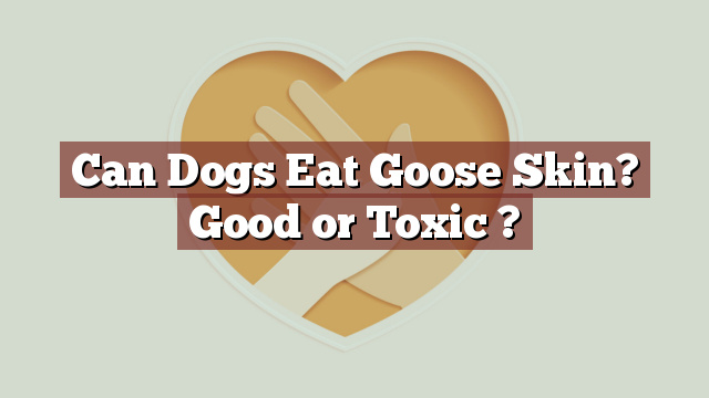 Can Dogs Eat Goose Skin? Good or Toxic ?