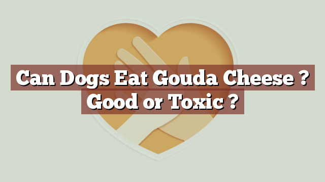 Can Dogs Eat Gouda Cheese ? Good or Toxic ?