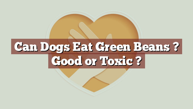 Can Dogs Eat Green Beans ? Good or Toxic ?
