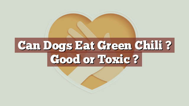 Can Dogs Eat Green Chili ? Good or Toxic ?
