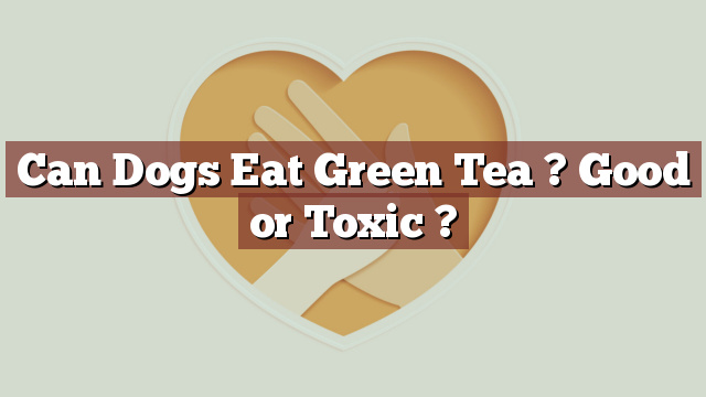 Can Dogs Eat Green Tea ? Good or Toxic ?