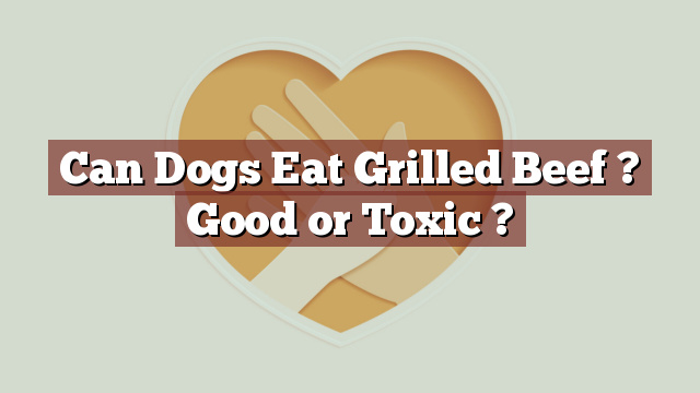 Can Dogs Eat Grilled Beef ? Good or Toxic ?