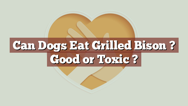 Can Dogs Eat Grilled Bison ? Good or Toxic ?