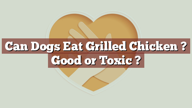 Can Dogs Eat Grilled Chicken ? Good or Toxic ?