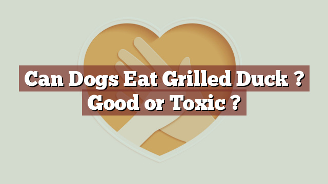 Can Dogs Eat Grilled Duck ? Good or Toxic ?