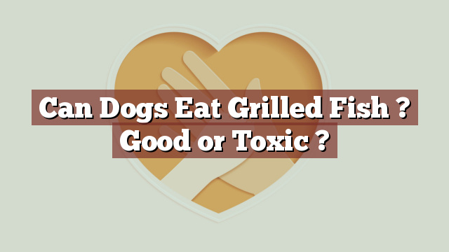 Can Dogs Eat Grilled Fish ? Good or Toxic ?